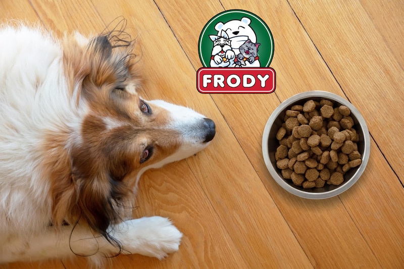 Croquetón 2025 de Frody