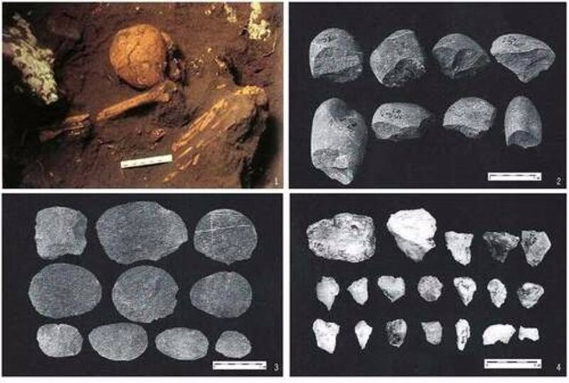 Restos humanos y herramientas de piedra encontrados en el yacimiento arqueológico de Atapuerca