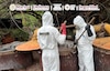 Desmantelan narcolaboratorio en Culiacán
