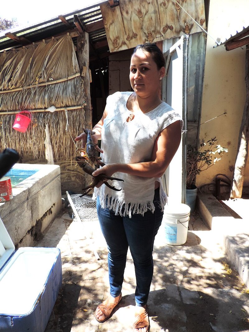 Mujer sosteniendo una langosta