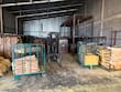 Asegura Profepa más de 20 toneladas de fibra de lechuguilla de origen ilegal en Coahuila