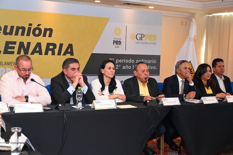 Reunión plenaria del PRD