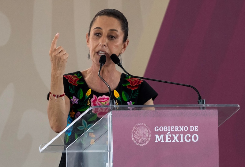 La Secretaria de Educación Pública, Delfina Gómez Álvarez, durante un discurso.