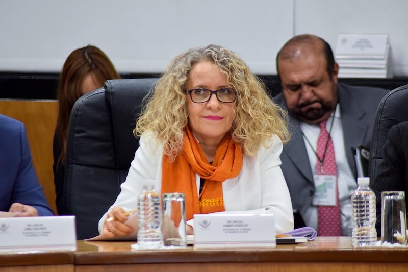 La senadora Patricia Mercado participa en un foro sobre la reforma educativa