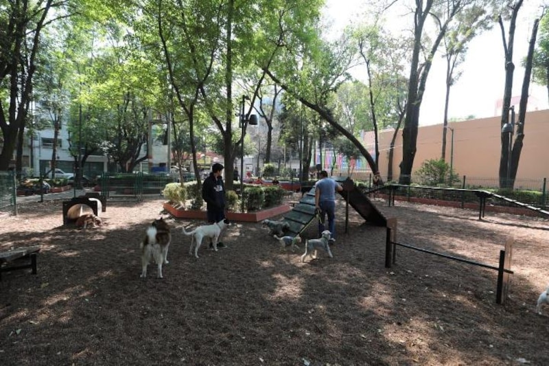 Parque para perros