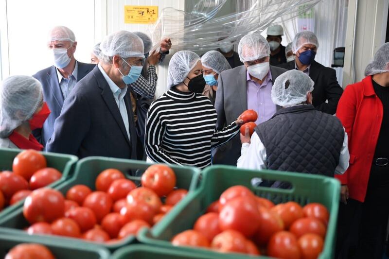 Visita a una planta de procesamiento de tomates