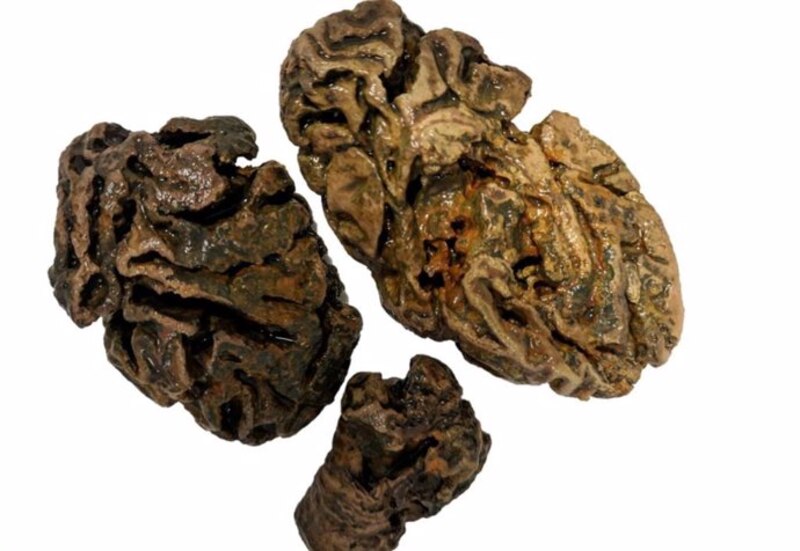 Rocas con forma de cerebro