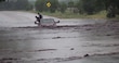Inundaciones en Texas dejan 13 muertos y 20 niñas desaparecidas    