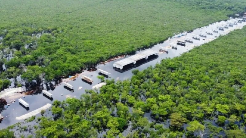 Construcción de un puente en medio de la selva