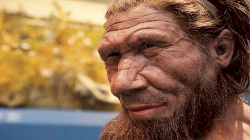 El hombre de Neanderthal