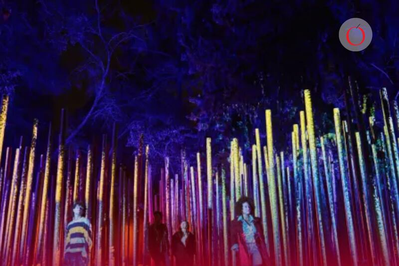 Ciclos de Luz: una experiencia nocturna en Chapultepec