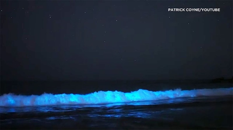 ¡Mira estas olas azules brillantes!