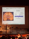 “Las neuronas responden automáticamente a la música, al llanto de un bebé, porque generan potenciales de acción medibles”
