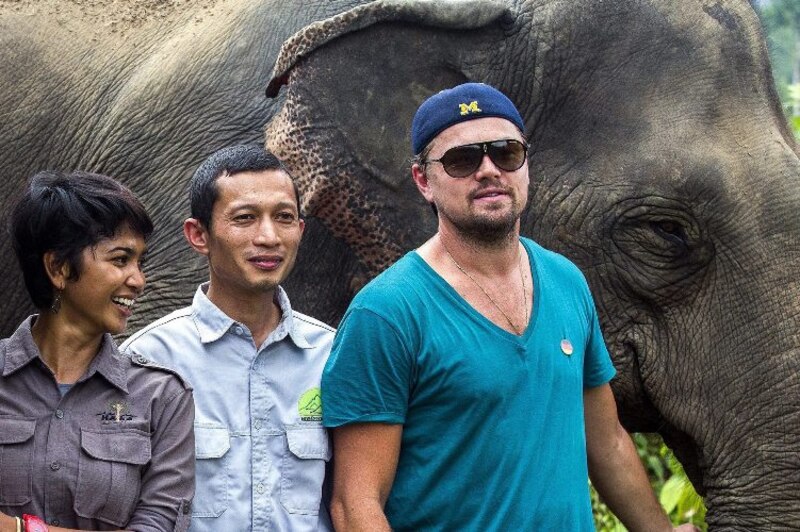 Leonardo DiCaprio visita un elefante en Tailandia