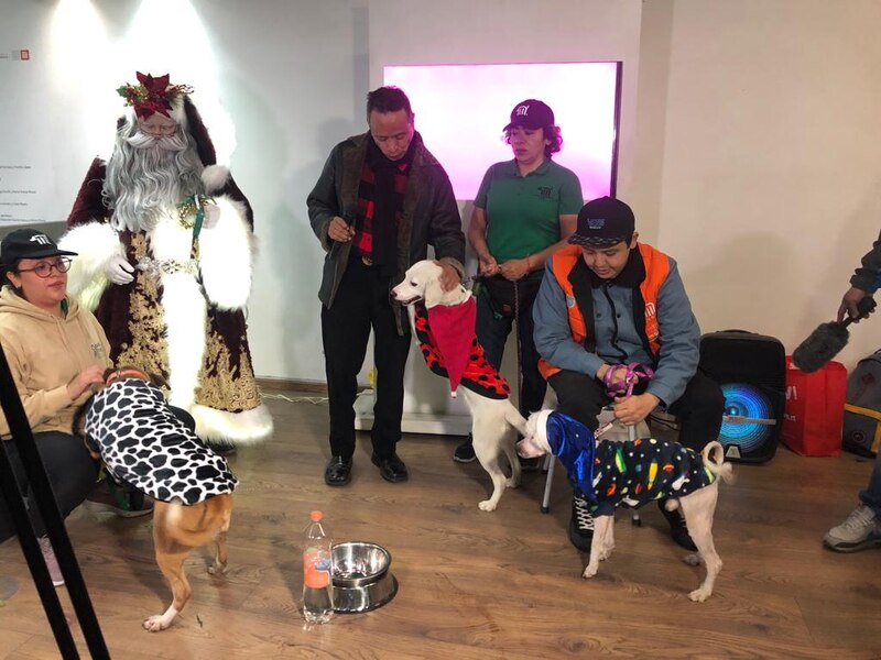 Santa Claus conoce a los perros en un estudio de grabación