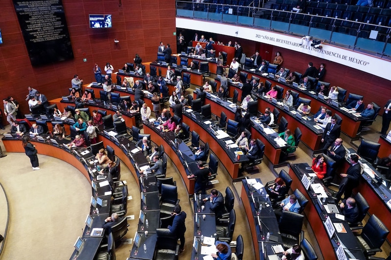 Senado