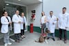 IMSS implementa modelo de atención incluyente para personas acompañadas de perros de asistencia