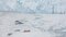 La caída de hielo impulsa el retroceso de glaciares en Groenlandia