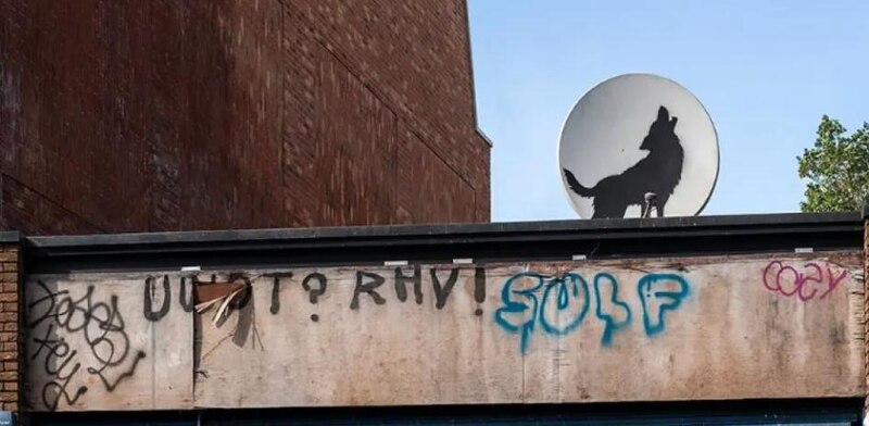 Un lobo solitario en la ciudad