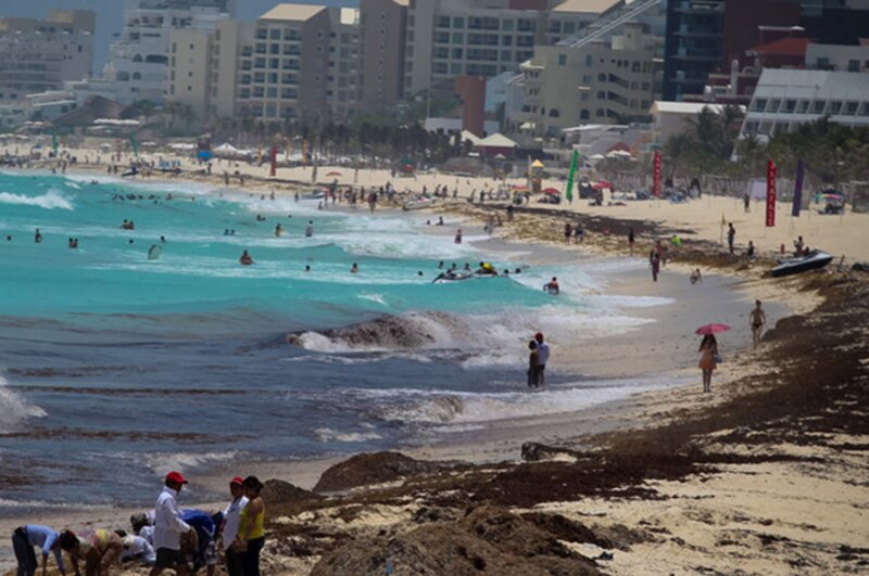 Playa de Cancún con sargazo