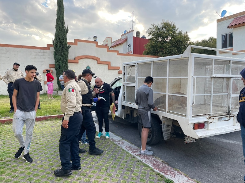 Rescatan a un coyote atrapado en una jaula en una zona residencial