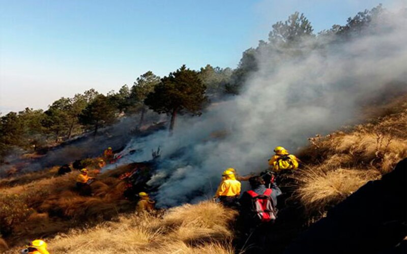 Incendios forestales en México