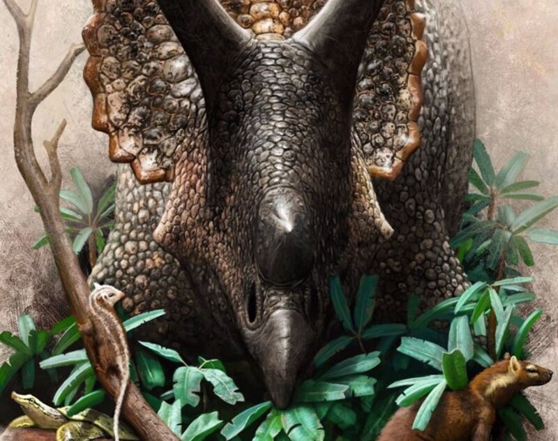 Un Triceratops en el bosque