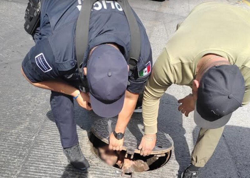 Rescatan a un perro atrapado en una alcantarilla