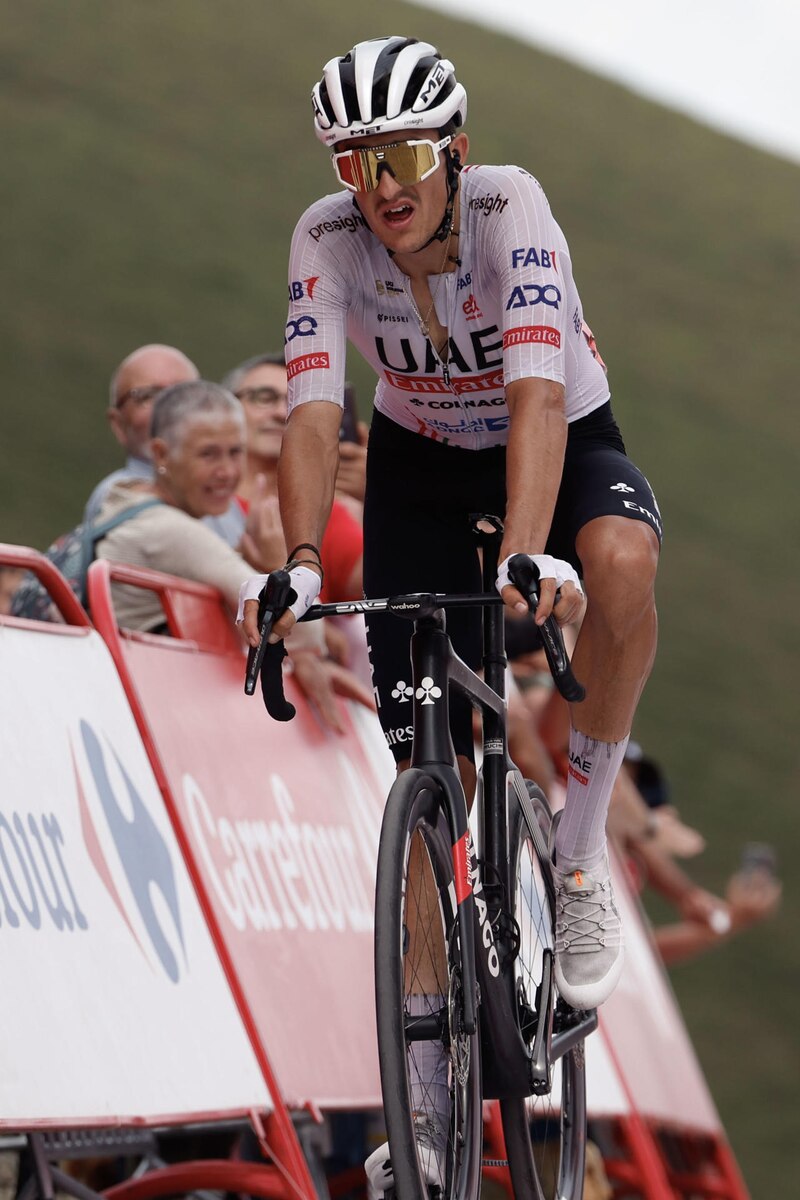 Ciclista profesional en una carrera