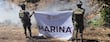 Marina destruye más de 291 mil plantas de marihuana en operativo en Baja California