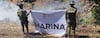 Marina destruye más de 291 mil plantas de marihuana en operativo en Baja California