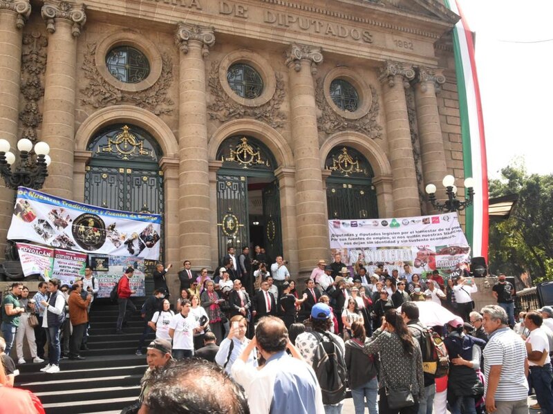 Protesta en la Cámara de Diputados en México
