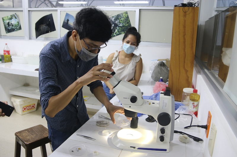 Investigadores analizando una muestra en el laboratorio