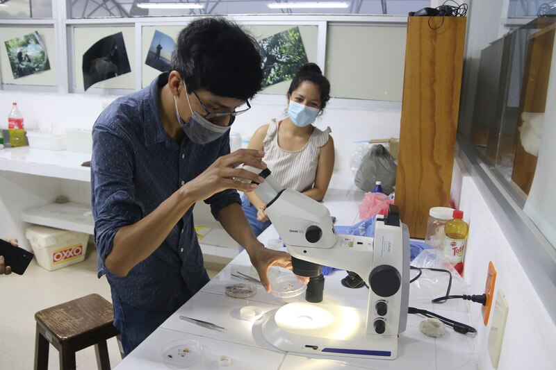 Investigadores analizando una muestra en el laboratorio