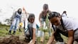 Bosque La Primavera recibe más de 30 solicitudes para Jornadas de Reforestación 2026