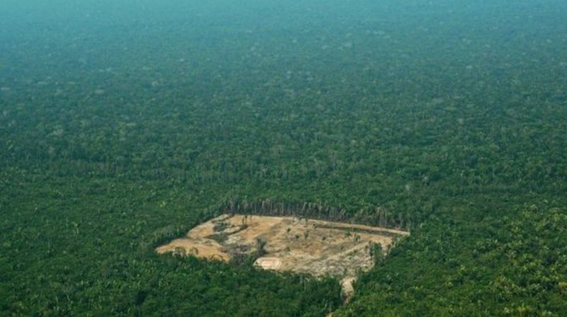 Deforestación en la Amazonía