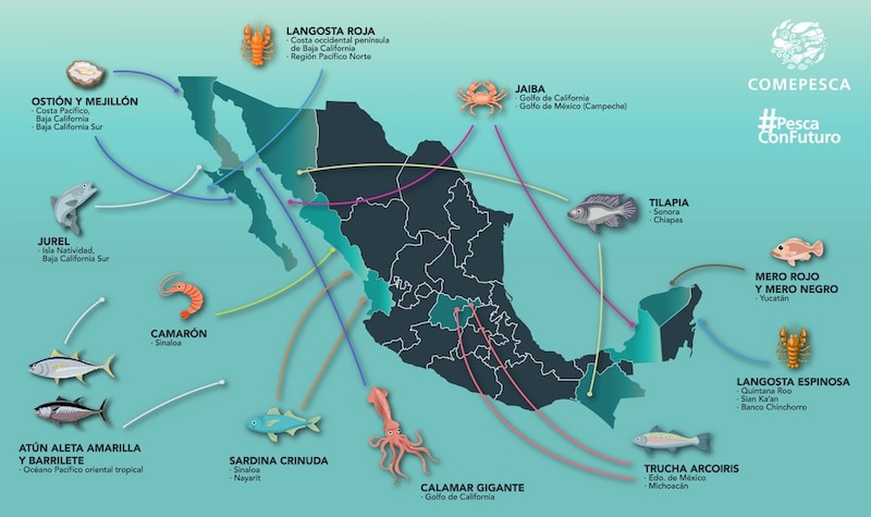 Mapa de las principales especies pesqueras en México