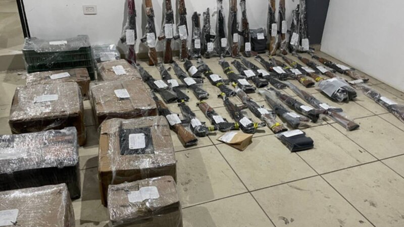 Armas de fuego decomisadas en un operativo policial