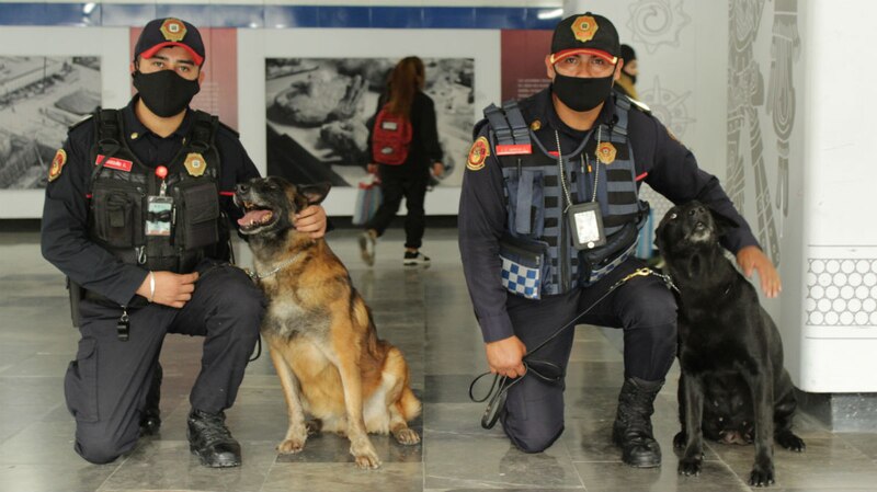 Policías y sus perros en la estación de metro