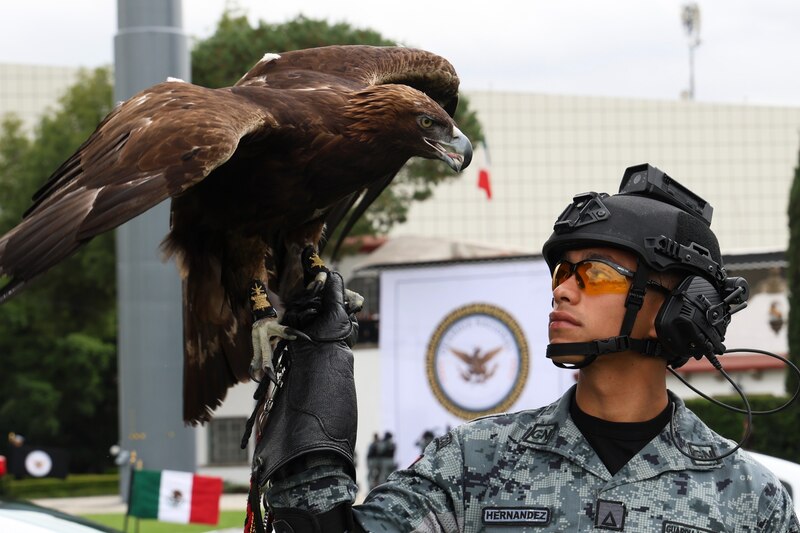La Presidenta Claudia Sheinbaum reconoció la valentía de las y los hombres que conforman la Guardia Nacional