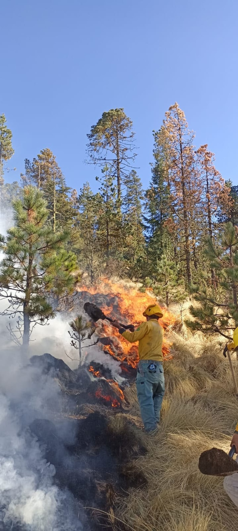 Bombero forestal apaga un incendio forestal