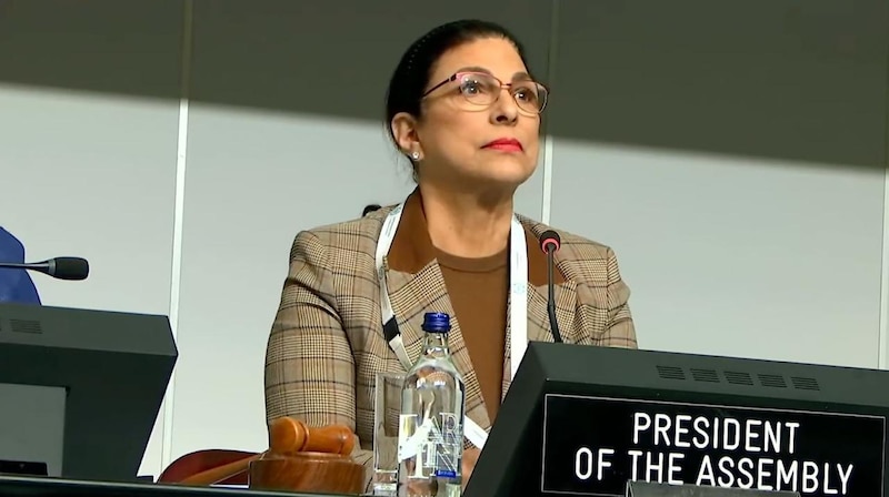 Presidenta de la Asamblea General de la ONU, María Fernanda Espinosa Garcés