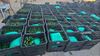 Decomisan una tonelada de droga oculta en cajas de chiles en frontera con EU
