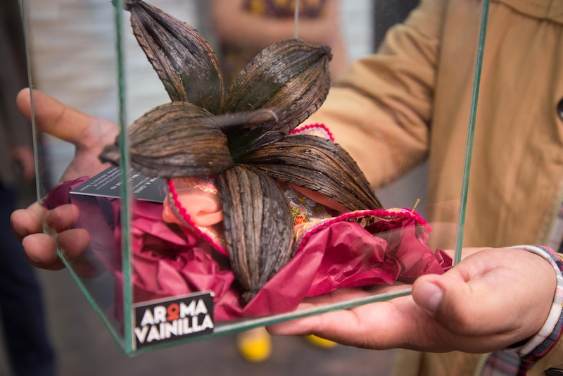 Flor de vainilla