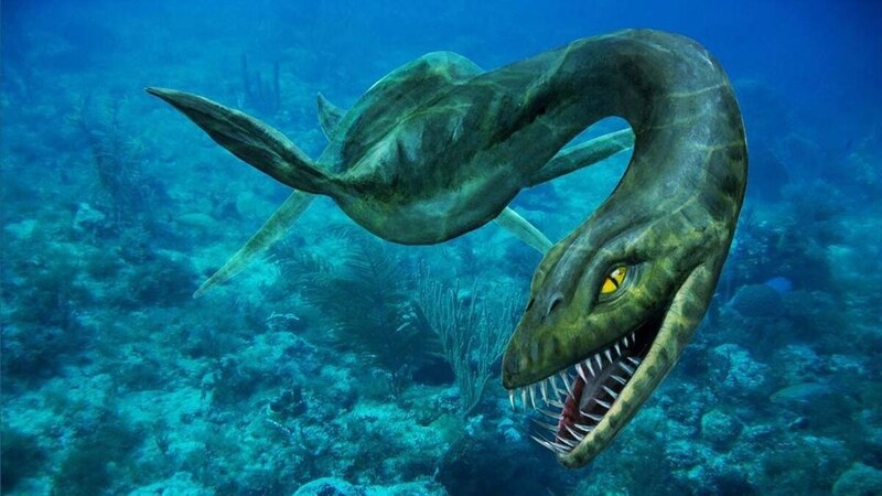 El monstruo marino más grande del mundo