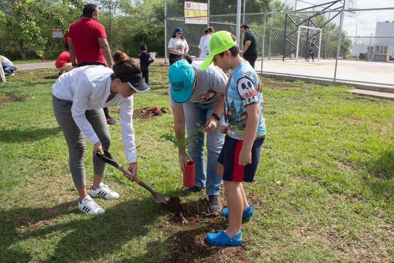Voluntarios plantando un árbol