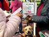 Revisa Cuauhtémoc condiciones de animales en adopción tras denuncias vecinales