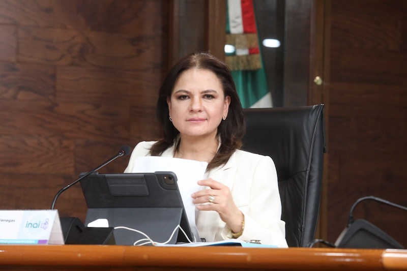 Comisionada Norma Julieta del Río Venegas durante sesión del INAI.