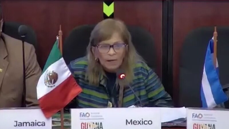 La Secretaria de Medio Ambiente y Recursos Naturales, María Luisa Albores González, durante la Conferencia de las Naciones Unidas sobre el Cambio Climático (COP 25) en Madrid, España.