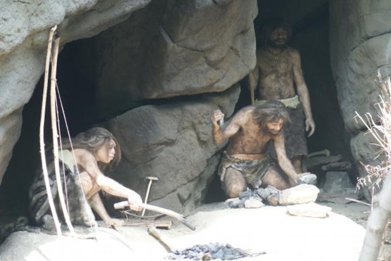 Los primeros humanos